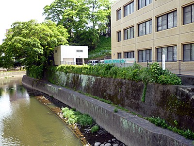 Chiba castle 1