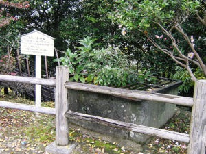 Chiba castle 3