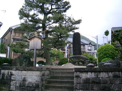 Sagarimatsu